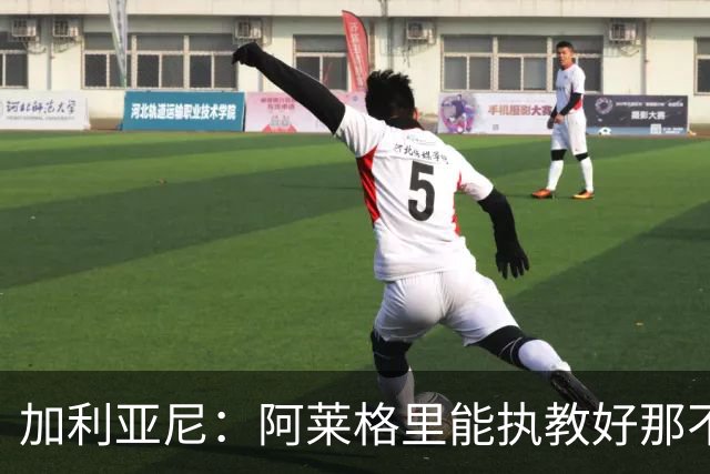 加利亚尼：阿莱格里能执教好那不勒斯，他会根据队内球员制定战术